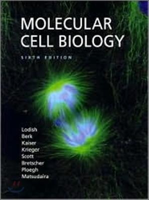 Molecular Cell Biology