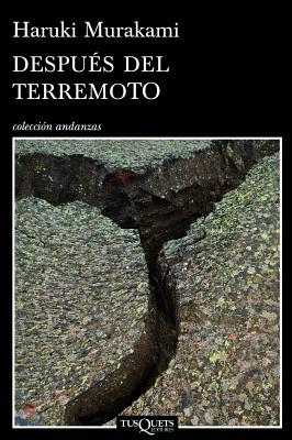 Despues del Terremoto = After the Earthquake