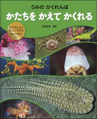 かたちをかえてかくれる モクズショイ.タ