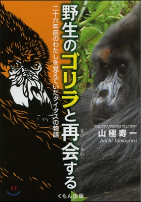 野生のゴリラと再會する 二十六年前のわた