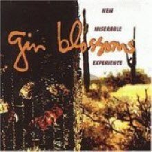 Gin Blossoms - New Miserable Experience (수입/미개봉)