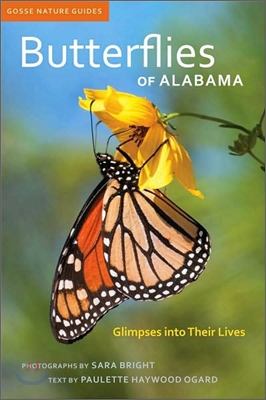 Butterflies of Alabama: Glimpses Into Their Lives