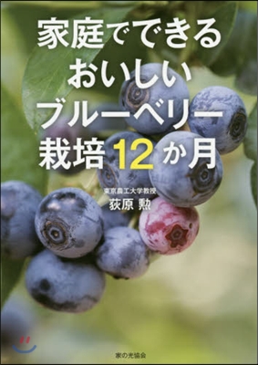 家庭でできるおいしいブル-ベリ-栽培12