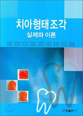 치아형태조각