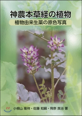 神農本草經の植物－植物由來生藥の原色寫眞