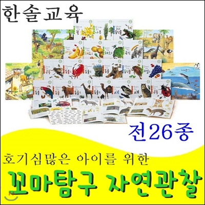 꼬마탐구자연관찰/본책20권,대형그림판4장,글자스티커2장/최신간 정품새책