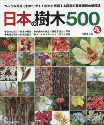 日本の樹木500超