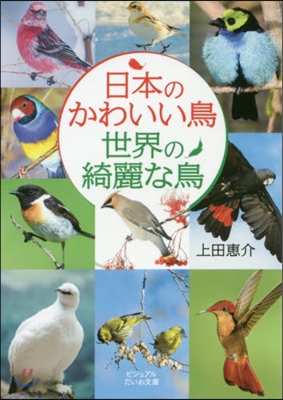 日本のかわいい鳥世界の綺麗な鳥