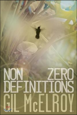 Nonzero Definitions