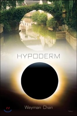 Hypoderm: Notes to Myself