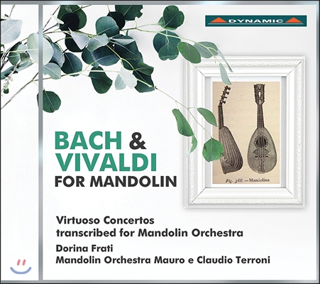 Dorina Frati 바흐와 비발디 작품집 - 협주곡집 [만돌린 오케스트라를 위한 편곡반] (J.S. Bach & Vivaldi for Mandolin - Virtuoso Concertos) 플레트로 마우로 & 클라우디오 테로디 오케스크라, 도리나 프라티