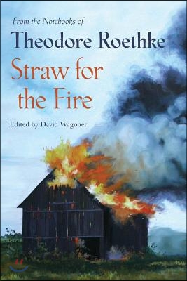 Straw for the Fire: From the Notebooks of Theodore Roethke 1943-63 (Paperback)