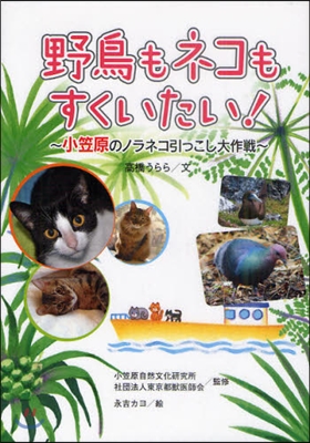 野鳥もネコもすくいたい! 小笠原のノラネコ引っこし大作戰