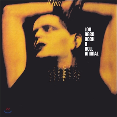 Lou Reed - Rock 'N' Roll Animal