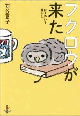 フクロウが來た ぽ-のいる暮らし