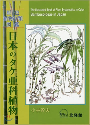 原色植物分類圖鑑 日本のタケ亞科植物