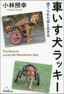 車いす犬ラッキ- 捨てられた命と生きる