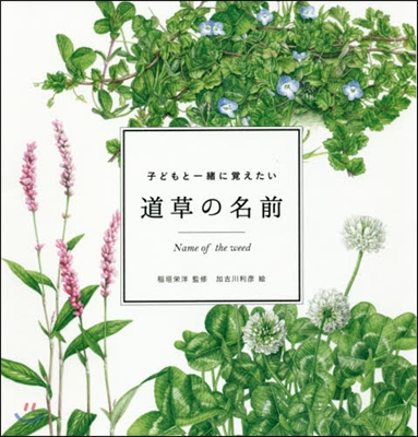 子どもと一緖に覺えたい 道草の名前