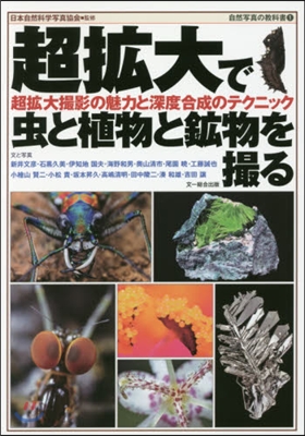 自然寫眞の敎科書(1)超擴大で蟲と植物と鑛物を撮る