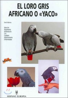 El Loro Gris Africano O Yaco