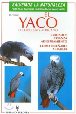 El Yaco O Loro Gris Africano