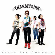 Transfixion(트랜스픽션) - 3.5집 Never Say Goodbye (미개봉)