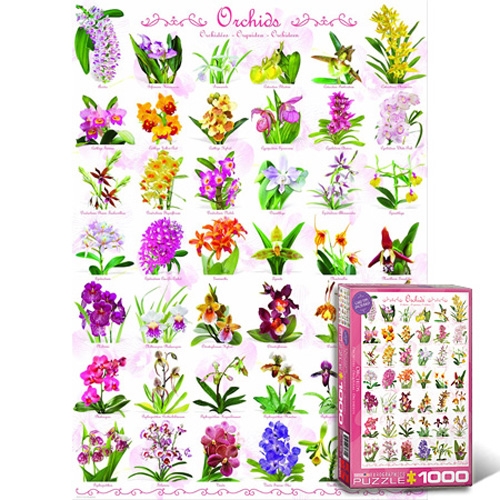 1000조각 직소퍼즐▶ 난과 식물 컬렉션 (EU6000-0655)