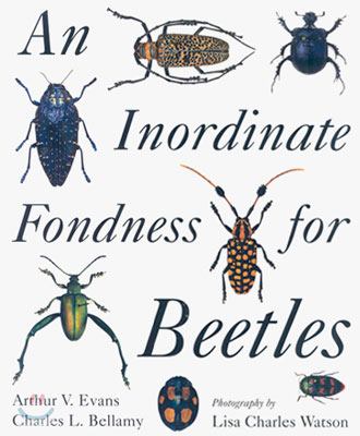 An Inordinate Fondness for Beetles