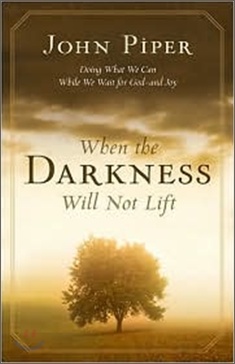 When the Darkness Will Not Lift: Doing What We Can While We Wait for God--And Joy