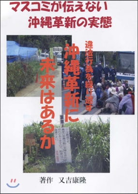 マスコミが傳えない沖繩革新の實態