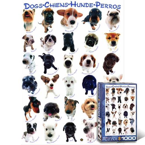 1000조각 직소퍼즐▶ 강아지 컬렉션 (EU6000-1510)