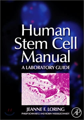 Human Stem Cell Manual : A Laboratory Guide