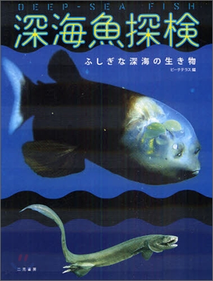 深海魚探檢