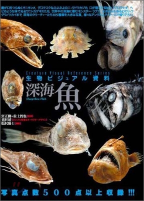 生物ビジュアル資料 深海魚