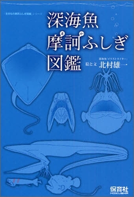 深海魚摩訶ふしぎ圖鑑