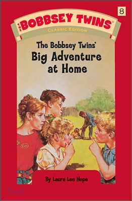 The Bobbsey Twins&#39; Big Adventure At Home