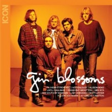 Gin Blossoms - ICON