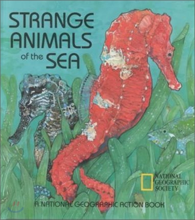 Strange Animals of the Sea