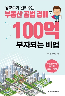 왕교수가 알려주는 부동산 공법 경매로 100억 부자되는 비법