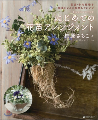 はじめての花苗アレンジメント