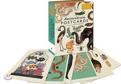 Animalium Postcards