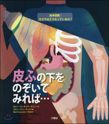 皮ふの下をのぞいてみれば… 繪本圖鑑:そ