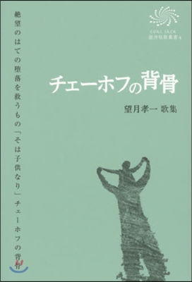 歌集チェ-ホフの背骨 かりん叢書 315