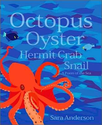 Octopus Oyster Hermit Crab Snail