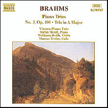 Vienna Piano Trio - Brahms : Piano Trio No.3, A Major (수입/8550747)