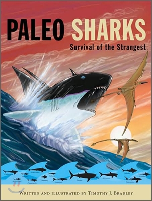 Paleo Sharks