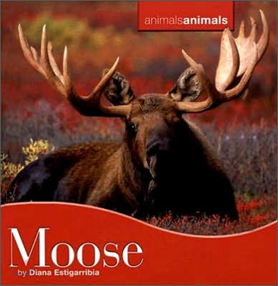 Moose