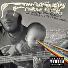 Flaming Lips - Darkside Of The Moon (Deluxe Edition)