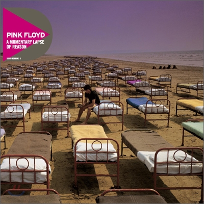 Pink Floyd - A Momentary Lapse Of Reason (디스커버리 에디션)