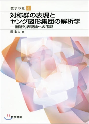 對稱群の表現とヤング圖形集團の解析學